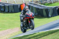 Oulton-Park-20th-March-2020;PJ-Motorsport-Photography-2020;anglesey;brands-hatch;cadwell-park;croft;donington-park;enduro-digital-images;event-digital-images;eventdigitalimages;mallory;no-limits;oulton-park;peter-wileman-photography;racing-digital-images;silverstone;snetterton;trackday-digital-images;trackday-photos;vmcc-banbury-run;welsh-2-day-enduro